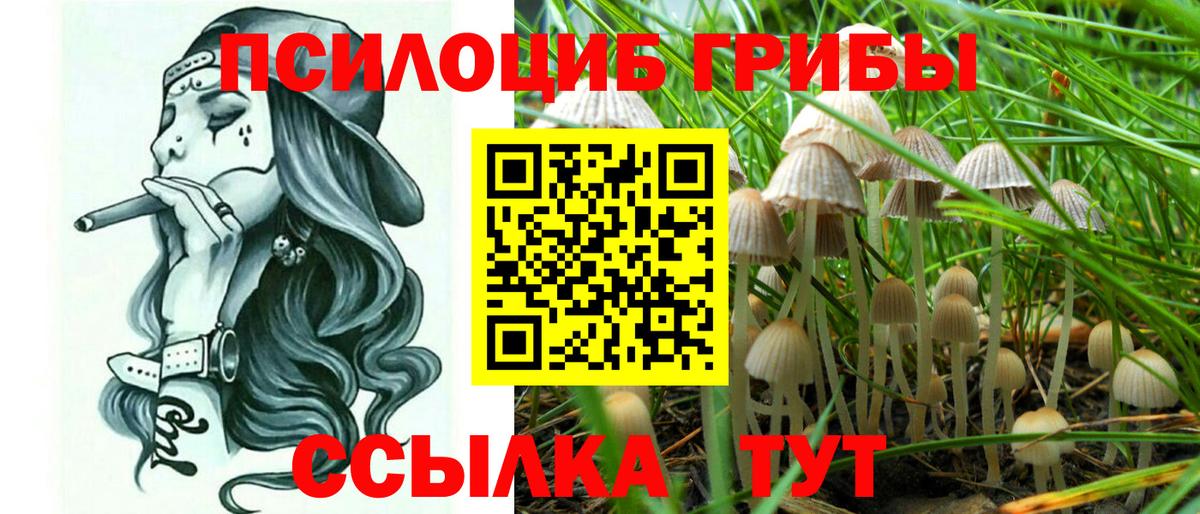 где купить наркоту  Вход с VPN  Тосно  Псилоцибиновые грибы ЛСД 