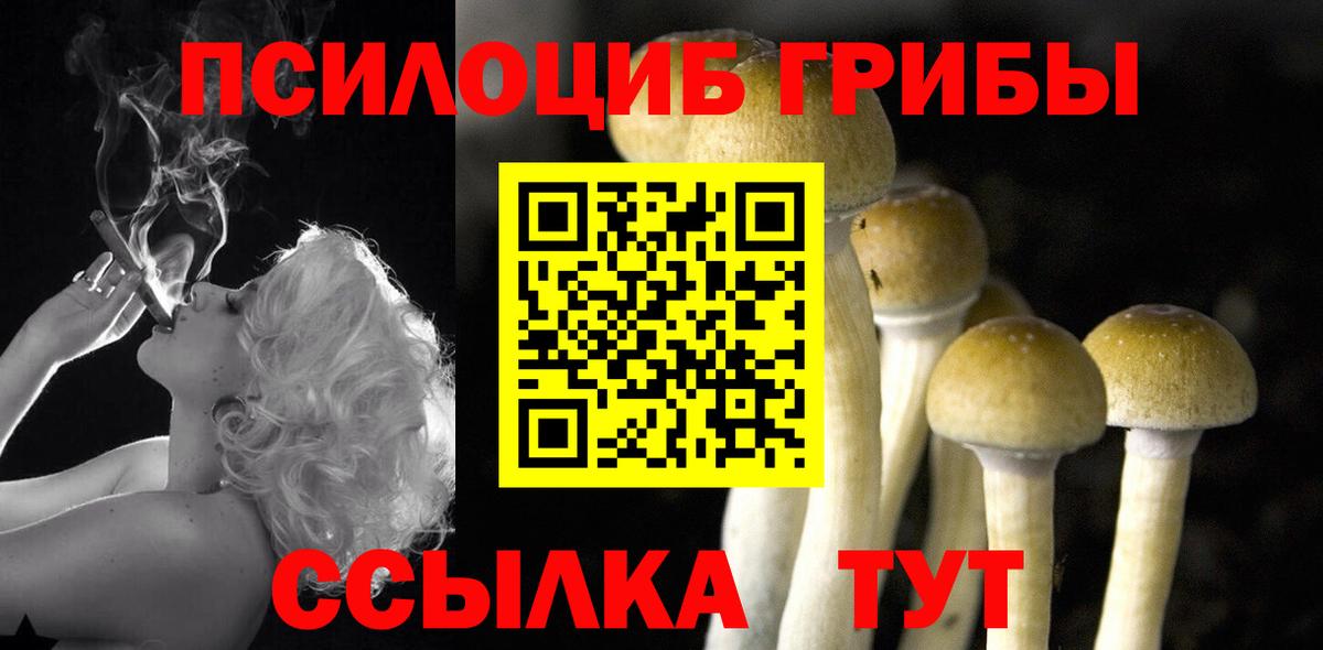 Галлюциногенные грибы Magic Shrooms Тосно